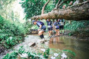 BIB: 
                            <button type="button" onclick="openModal(25517303)" class="btn btn-primary btn-sm float-right btn-popup" data-toggle="modal" data-target=".modal-high-quality">
                        <i class="fas fa-shopping-cart"></i> Add to Cart
                    </button>
                                            <button type="button" onclick="isThisMe(25517303, true)" class="btn btn-success btn-sm float-right btn-popup btn-isme hidden" data-toggle="tooltip" data-placement="bottom" title="นี่คือรูปของคุณใช่ไหม คลิกที่นี่เพื่อเอาเข้าอัลบั้ม">
                        <i class="fas fa-plus"></i> Add to album
                    </button>
                    <button type="button" onclick="isThisMe(25517303, false)" class="btn btn-warning btn-sm float-right btn-popup btn-isnotme hidden">
                        <i class="fas fa-ban"></i> Remove from album
                    </button>